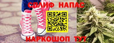 шишки Новокубанск