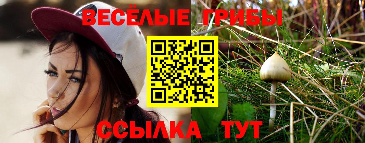 Россошь  Галлюциногенные грибы Magic Shrooms  Галлюциногенные грибы Psilocybe  магазин    Вход с VPN 