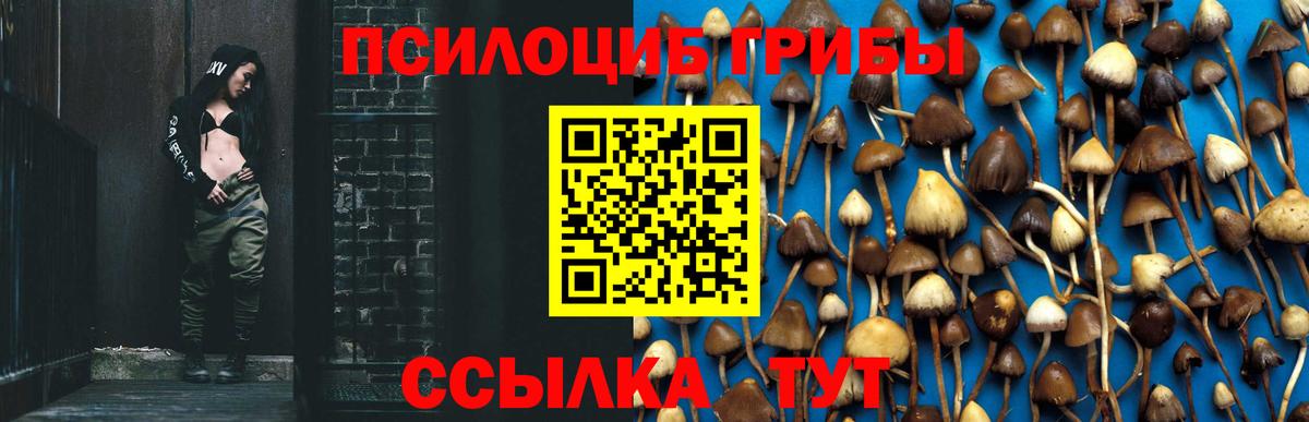 Галлюциногенные грибы Magic Shrooms Россошь